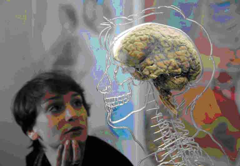 How Big Is a Human Brain? Learn About Brain Size and Brain Weight